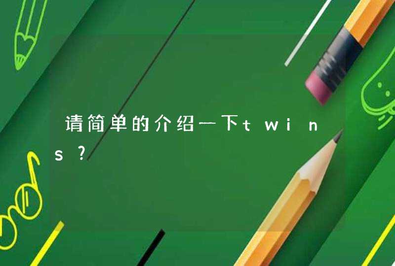 请简单的介绍一下twins? 请简单的介绍一下twins?