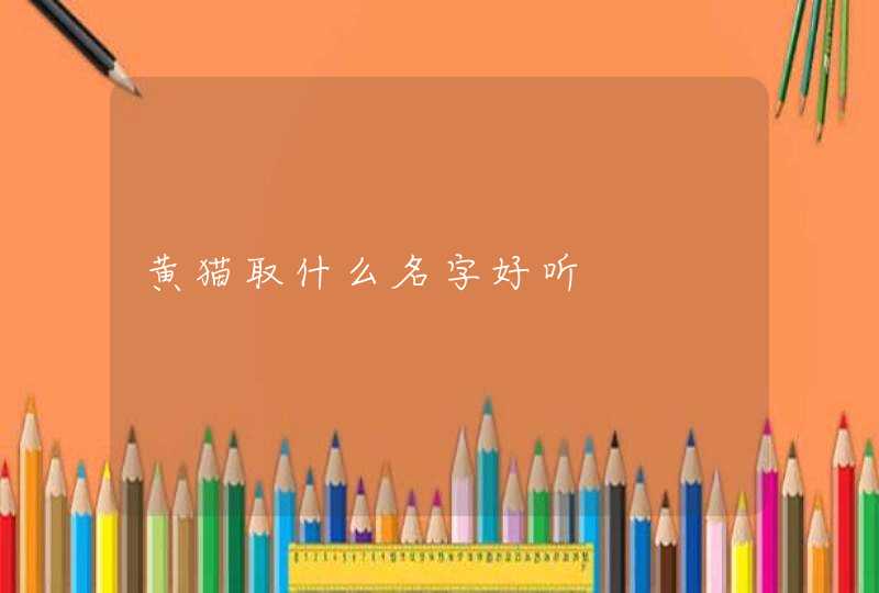 黄猫取什么名字好听 黄猫取什么名字好听