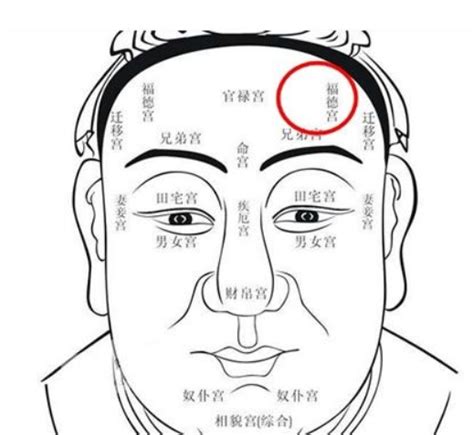 紫薇斗数准吗_紫薇斗数十二宫,第16张