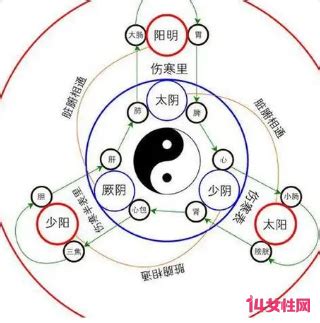 十二时辰对照表脏腑_十二时辰对照表脏腑经络走向,第20张