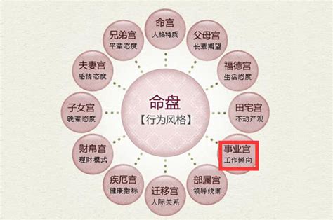 紫微斗数算命免费_紫微斗数算命教程,第10张