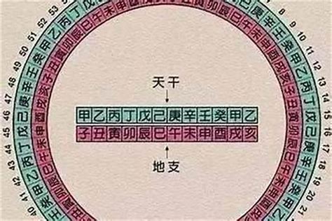 八字时柱金舆是什么意思_金舆在哪柱最好,第2张