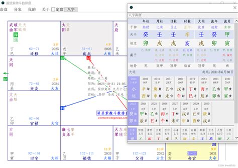 紫微斗数免费排盘_紫微斗数免费算命详解,第2张