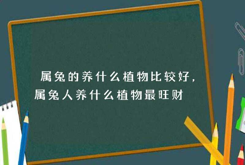 属兔的养什么植物比较好，属兔人养什么植物最旺财