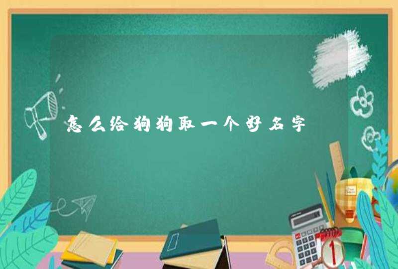 怎么给狗狗取一个好名字,第1张