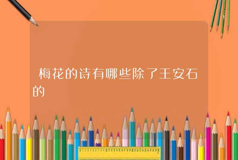梅花的诗有哪些除了王安石的