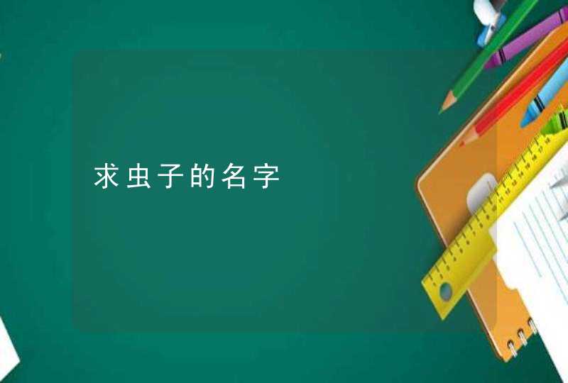 求虫子的名字