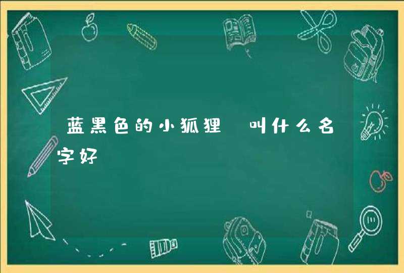 蓝黑色的小狐狸 叫什么名字好