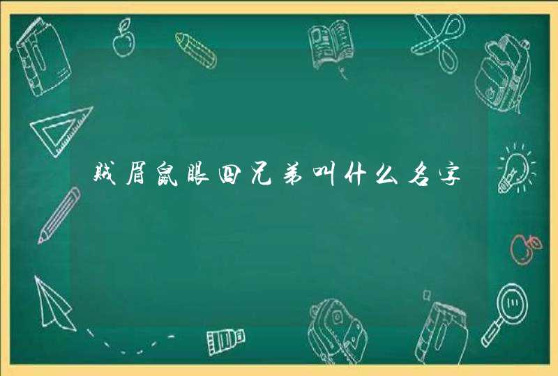 贼眉鼠眼四兄弟叫什么名字